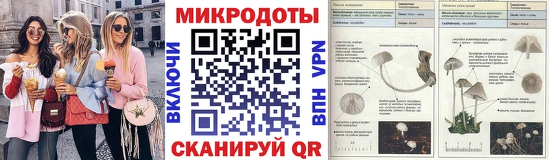 Галлюциногенные грибы прущие грибы  МЕГА как войти  Емва 